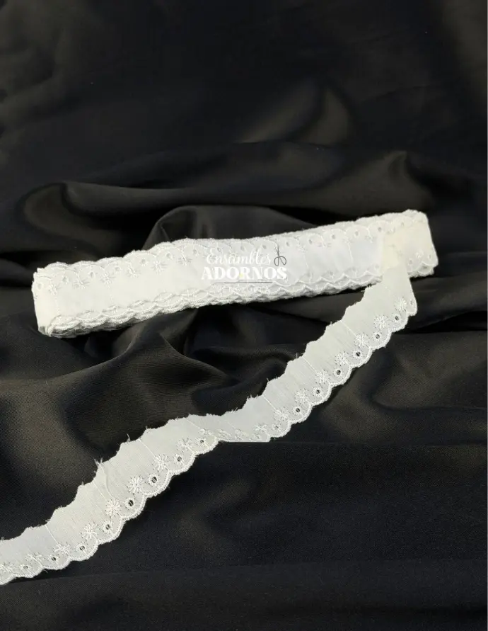 TIRA BORDADA (LETÍN) 2.0CM (PZA X 15 YDS)