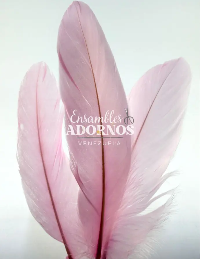 PLUMA INDIO 16-20CM ( PQT X 10UND)