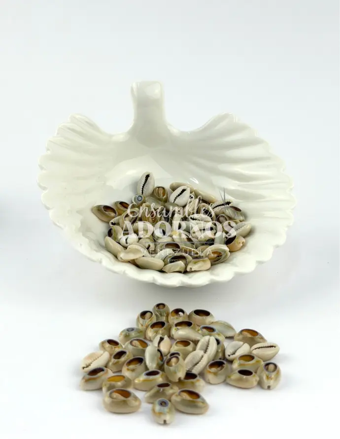 CARACOL NATURAL 12MM-14MM ( PQT X 1KG)