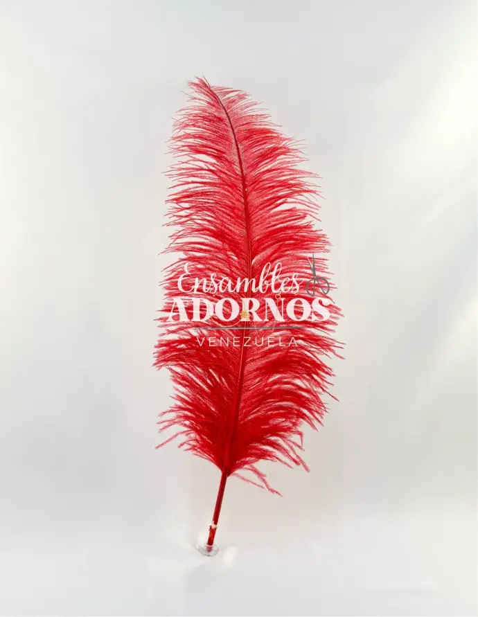 PLUMA AVESTRUZ 72-80CM (VENTA DESDE 50GRS POR COLOR)
