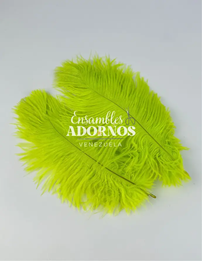 PLUMA AVESTRUZ 10-20CM (VENTA DESDE 100GRS POR COLOR)