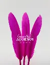 PLUMA INDIO 10-15CM (PQT X 10UND)