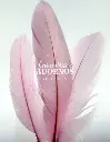 PLUMA INDIO 16-20CM ( PQT X 10UND)