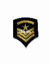 APLICACION PLANCHA MILITAR 4CM X 4.7CM (PAQUETE X 20UNID)