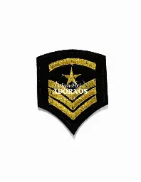APLICACION PLANCHA MILITAR 4CM X 4.7CM (PAQUETE X 20UNID)