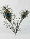 PLUMA PAVO REAL 30-35CM (PQT X 10 UND)