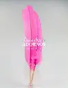 PLUMA PAVO ALA 30-35CM (PQT X 10UND)