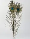 PLUMA PAVO REAL 40-45CM (PQT X 10 UND)