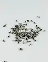 TERMINAL PARA CADENA BOLITA HIERRO 1.5MM (PQT X 1000 UND)