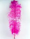 PLUMA AVESTRUZ 50-60CM (VENTA DESDE 50GRS POR COLOR)