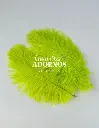 PLUMA AVESTRUZ 10-20CM (VENTA DESDE 100GRS POR COLOR)