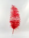 PLUMA AVESTRUZ 72-80CM (VENTA DESDE 50GRS POR COLOR)
