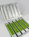 AGUJA MOSTACILLA OJO DORADO (CAJA X 20 BLISTER)