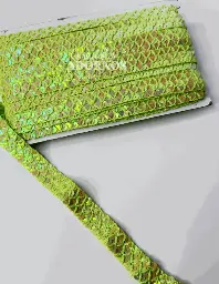 PASAMANERIA (MILLARE) LENTEJUELA OLEOGRAFICA 2.0CM (PZA X 20 YDS)