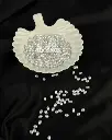 PERLA ARROZ 5X7MM (PQT X 500GRS / 3700UNID) 